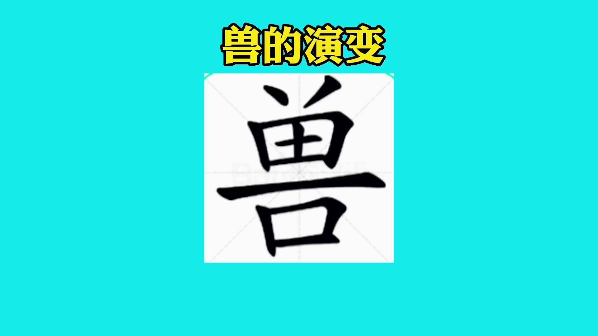 兽字的演变图片