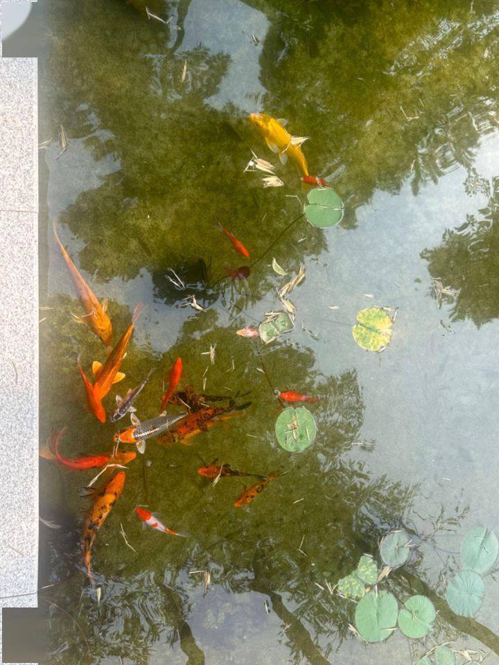 Kaiyun 开云体育浙村超有料：湖州这个村子是靠什么模式坐上了民宿经济的“C位”？(图4)