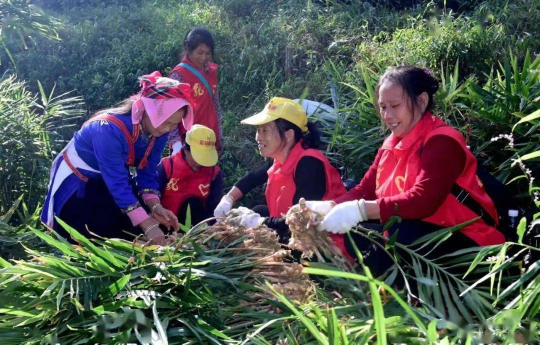 乳源瑶族自治县东坪镇新村村"巾帼志愿阳光站"服务群众零距离_活动