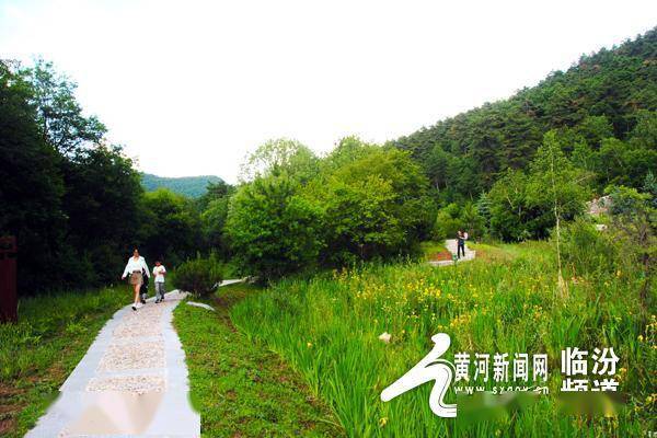 隰县夏日石马沟 避暑好地方