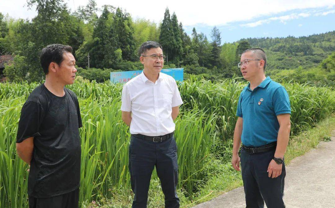 周乃松一行先后来到坑底乡归洋村,浩溪村等地,实