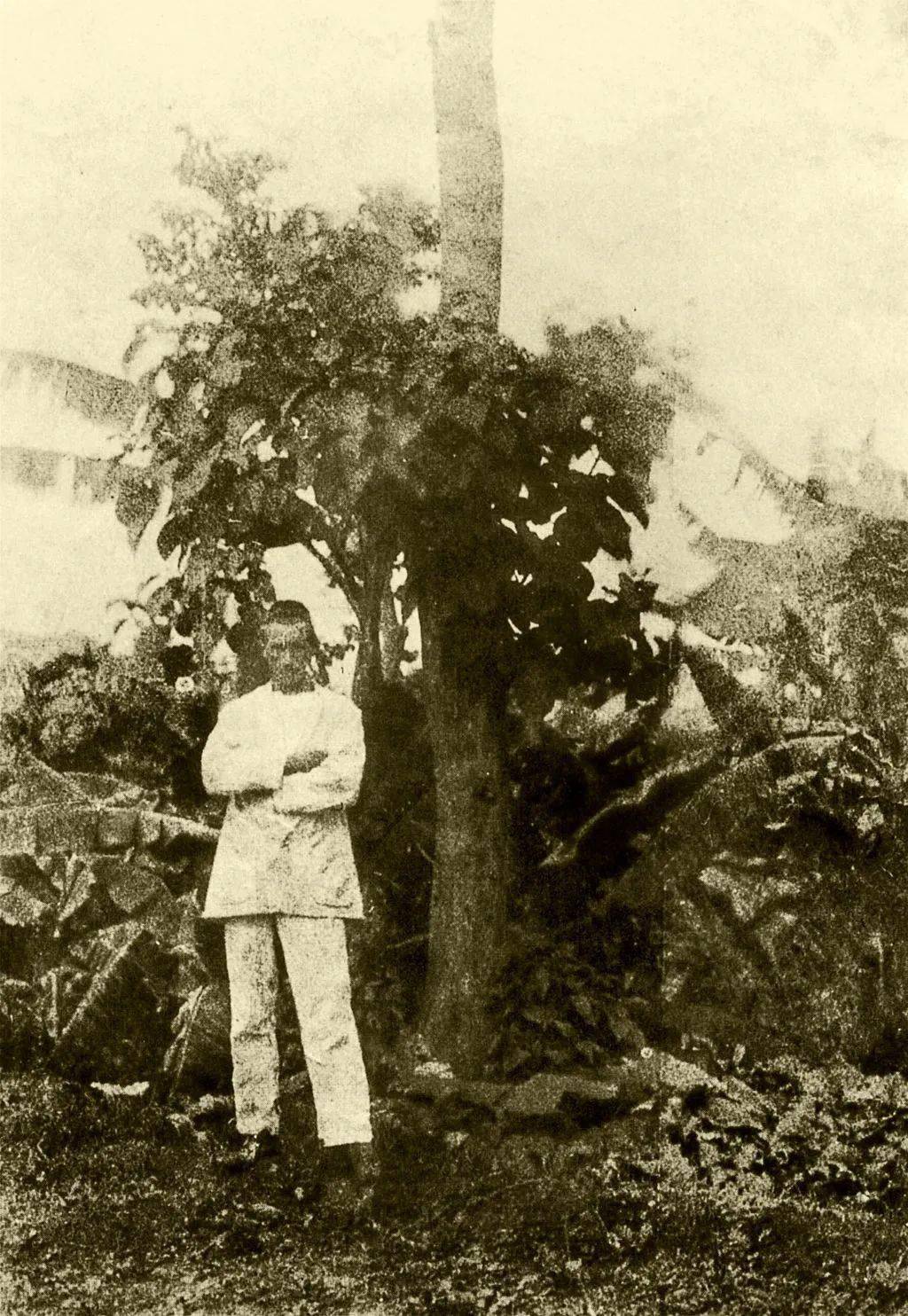 【单向历】7 月 7 日,忌动摇_阿蒂尔·兰波_诗歌_夏尔维尔