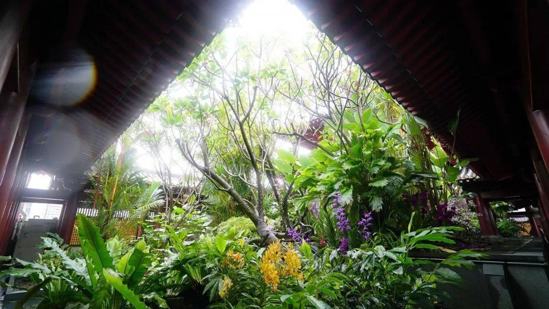 野外指南_老挝_工作_野采