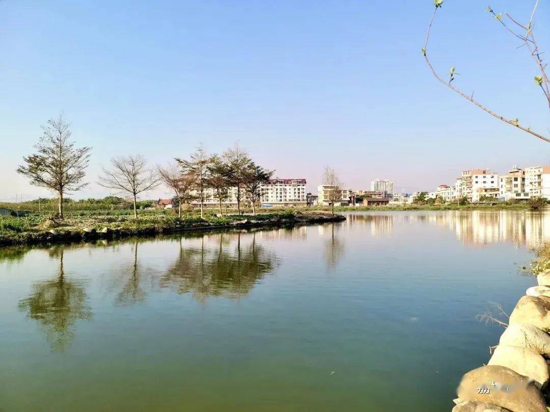 福建村ba | 莆田:以"体"为媒,焕发乡村振兴新活力_郊尾镇_黄石镇_篮球