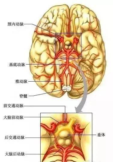 临床笔记