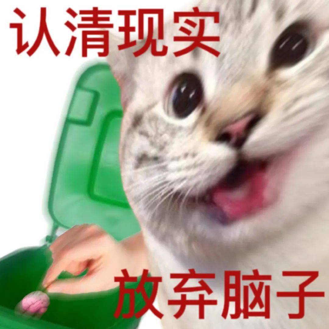 认清现实