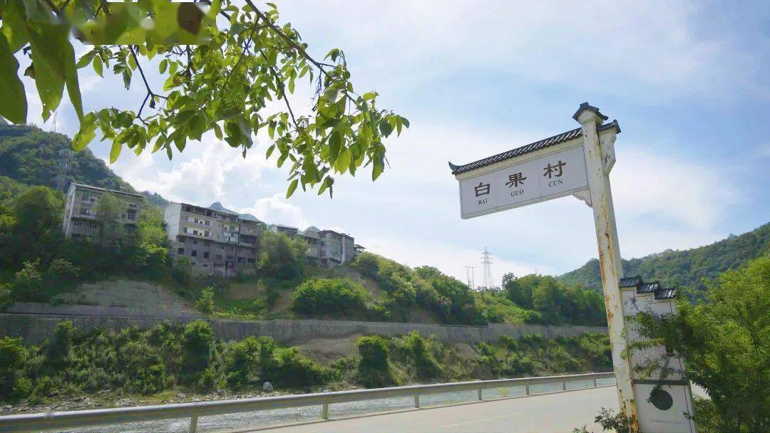 【城口融媒 走进修齐镇】诗意白果 乡愁小院_群众_乡村_组织