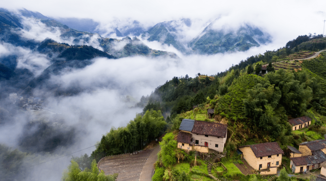来松阳high玩一夏!_景区_营地_活动