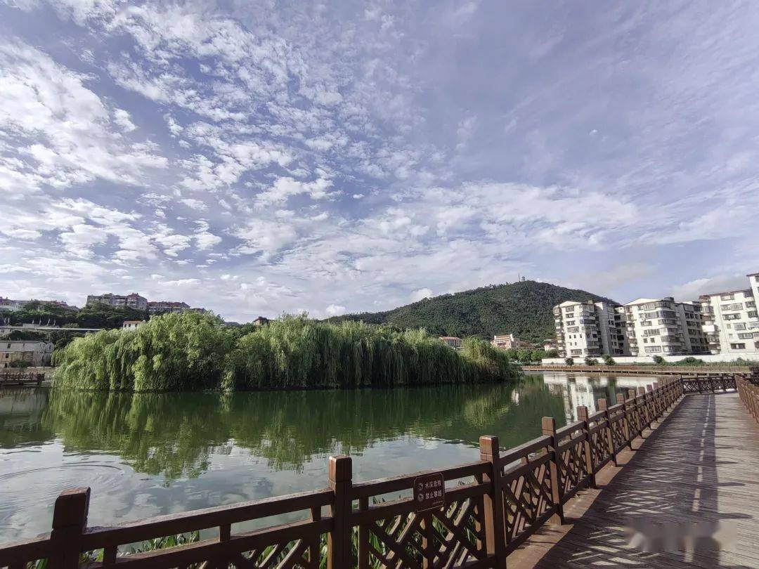 柳树公园,向云端,真治愈!_柳湖_南安_柳城