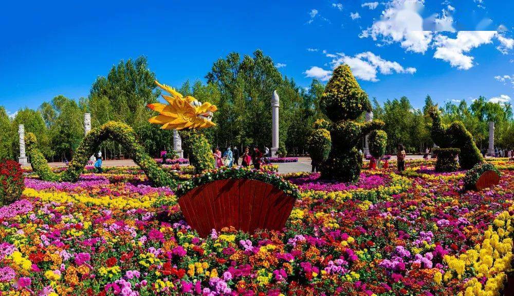 众hua香坊 | 【香坊真香 鸟语花香】共赏大美香坊景色_香坊区_中国