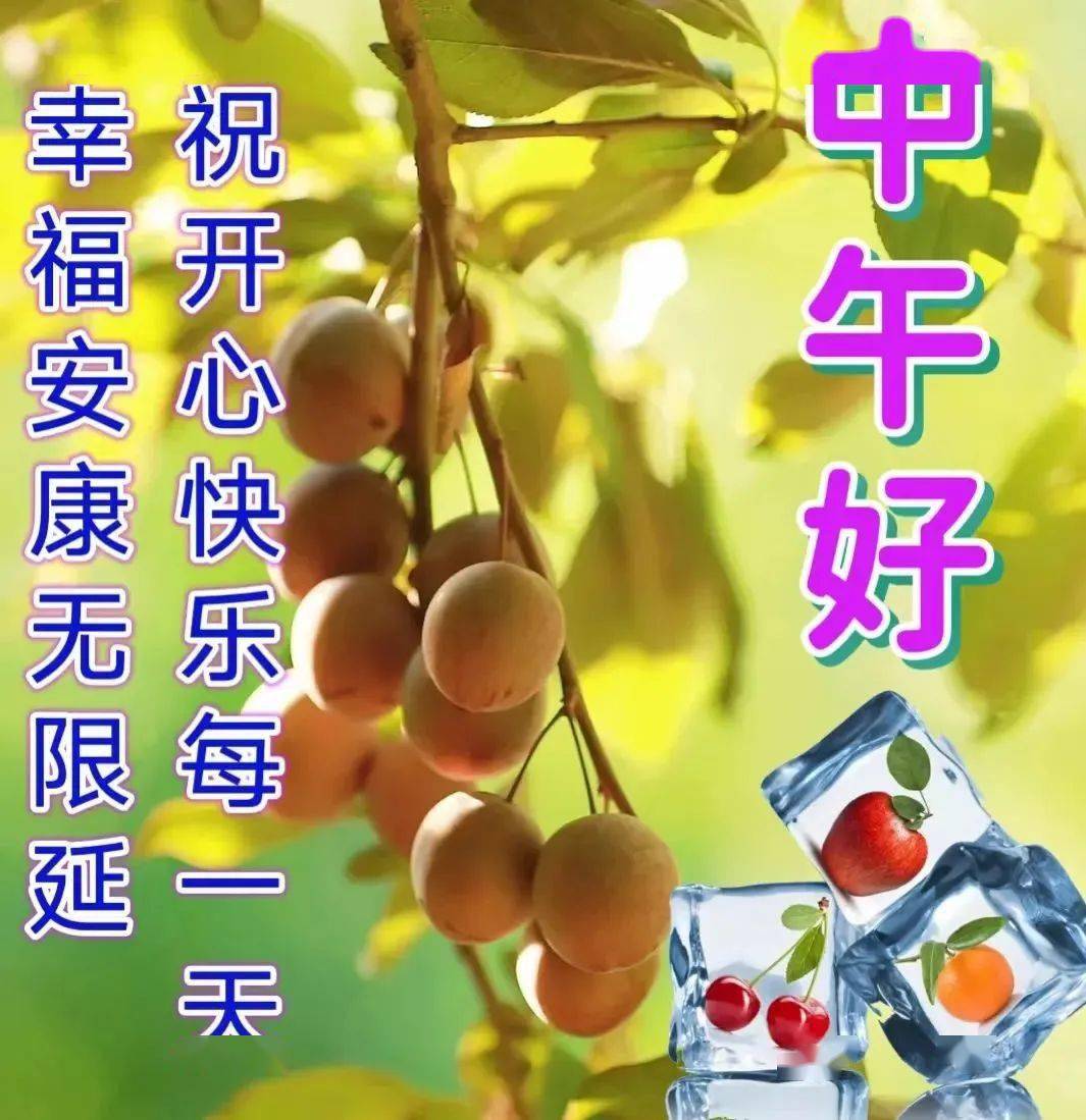 快乐,是一盆长寿花;问候,是一杯暖心茶!