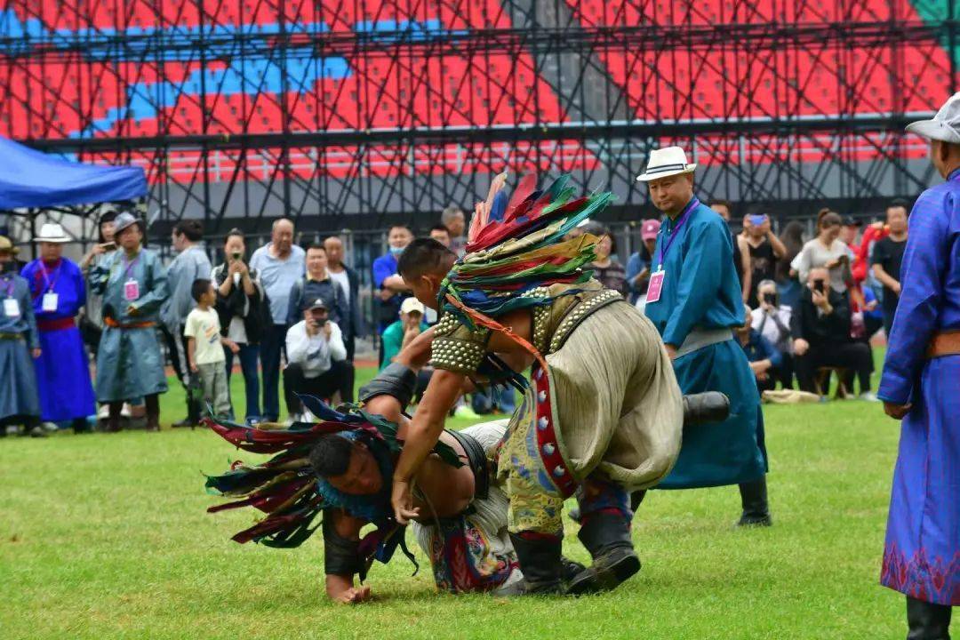 搏克比赛激战正酣!_女子组_参赛_内蒙古自治区