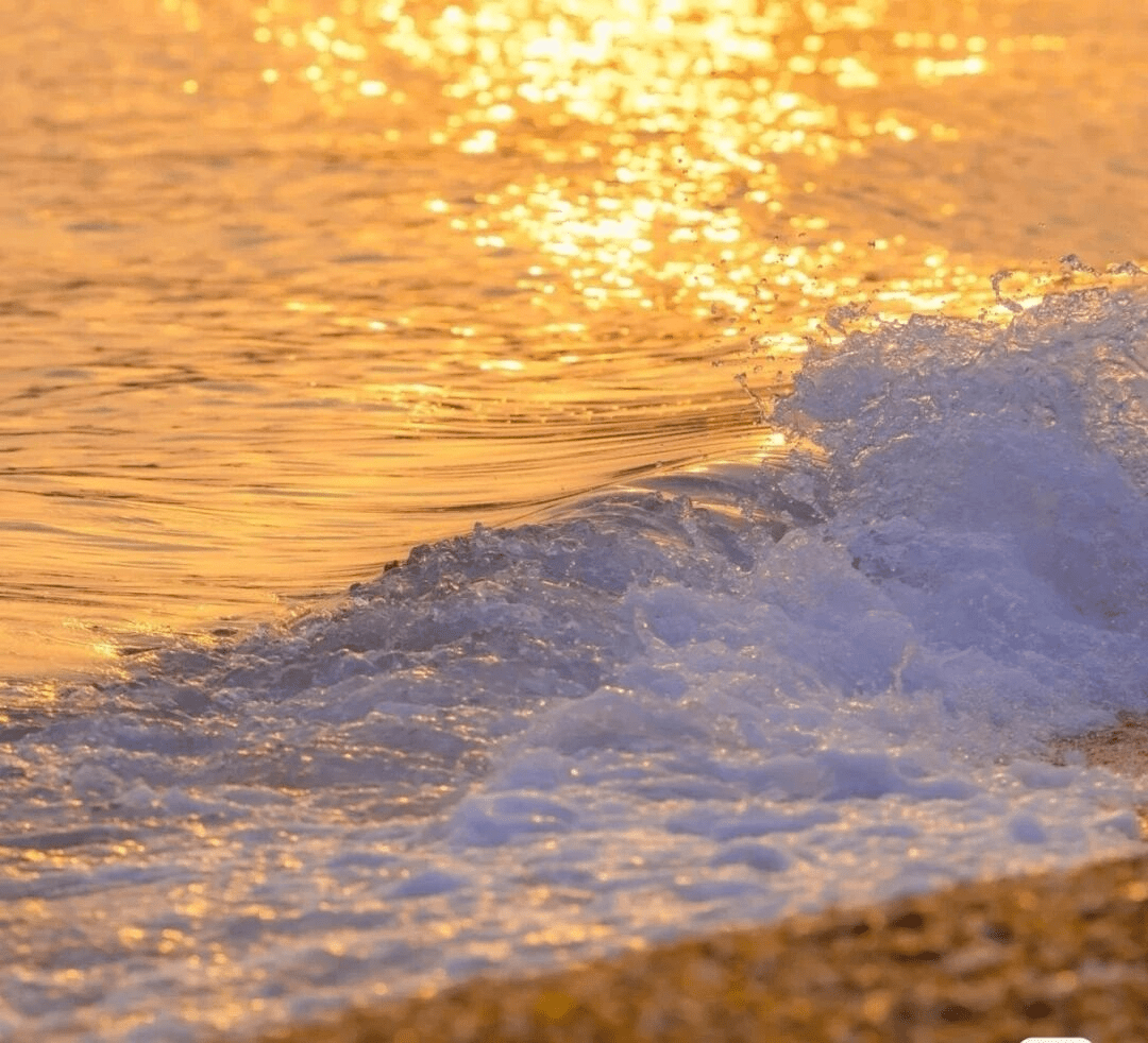热烈的色彩夏天这样短暂所以趁着假期去海边,去森林,去人烟里去寻找