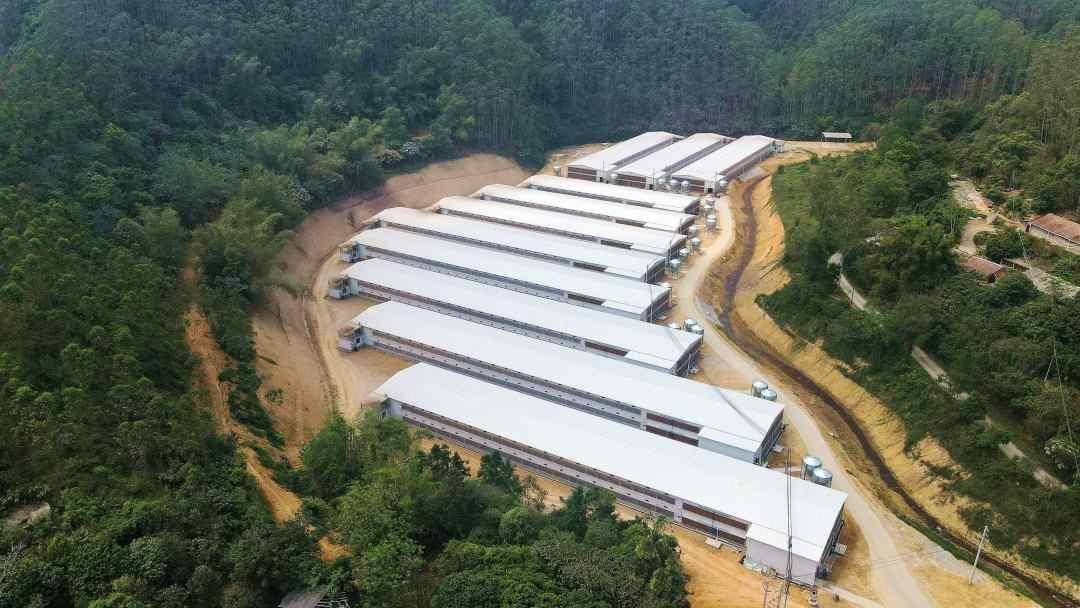 多方共建,绿色养殖,解锁乡村产业振兴新模式_发展_温氏_农业