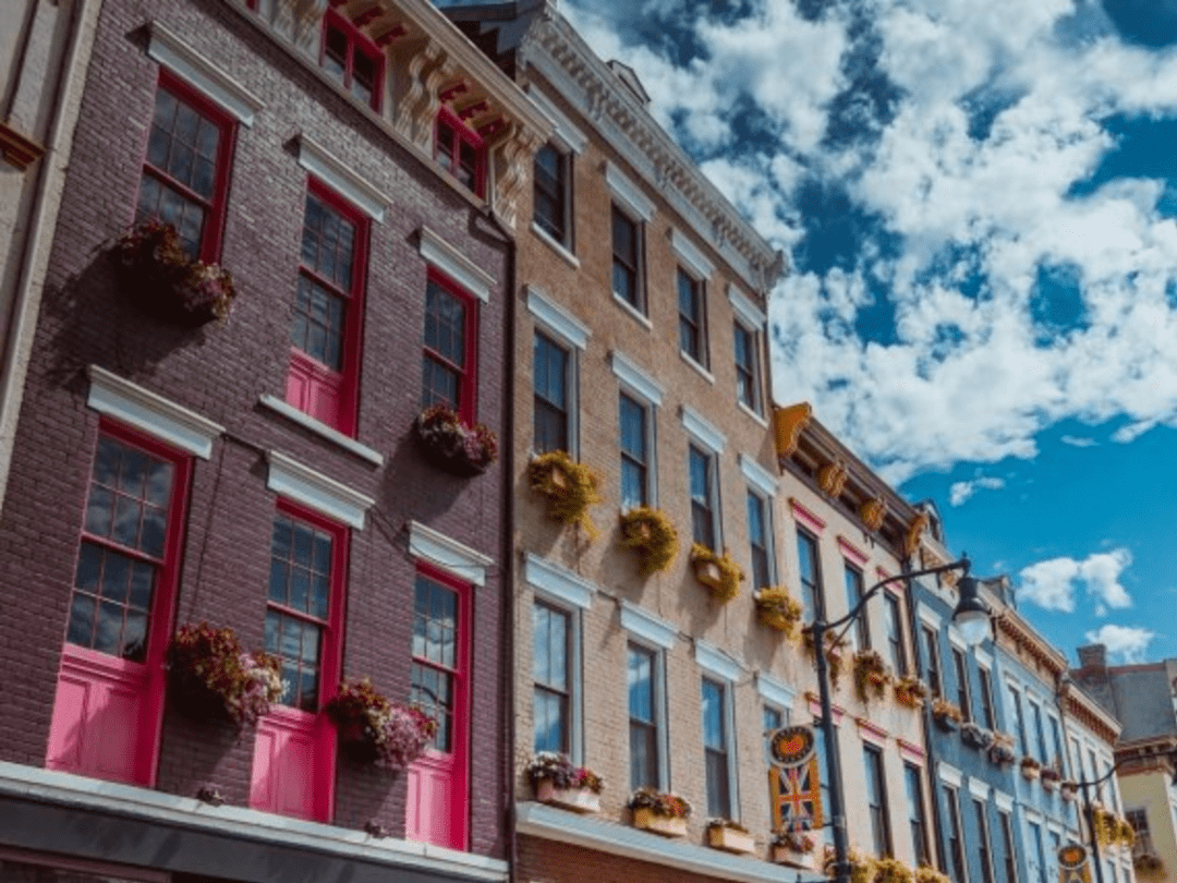 artzoo爱特offer展示辛辛那提大学★★★——offer持续更新中. .