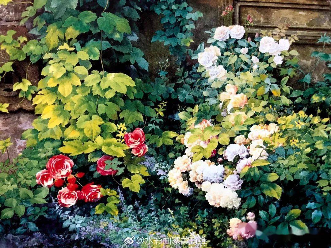 黄有维先生水彩花卉欣赏_生活_画面_作品