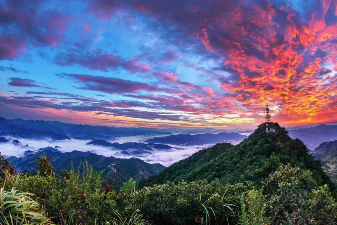 带上娃一起去浦江享受洗肺康养一日游!_上河村_旅游_乡村