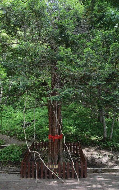 即日起至2023年8月31日,凭学生证及身份证,门票8折优惠.