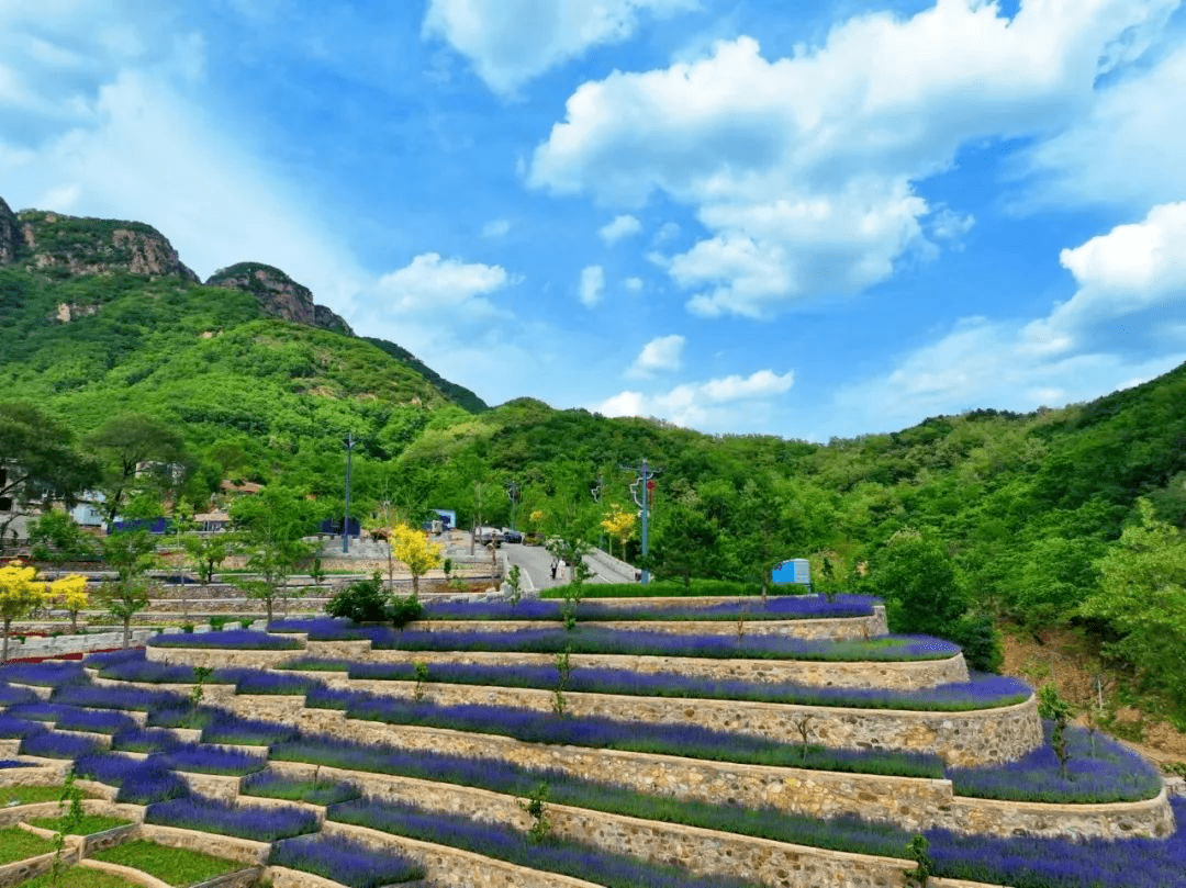 来自梨树沟休闲谷的这张免费儿童游览券请您查收