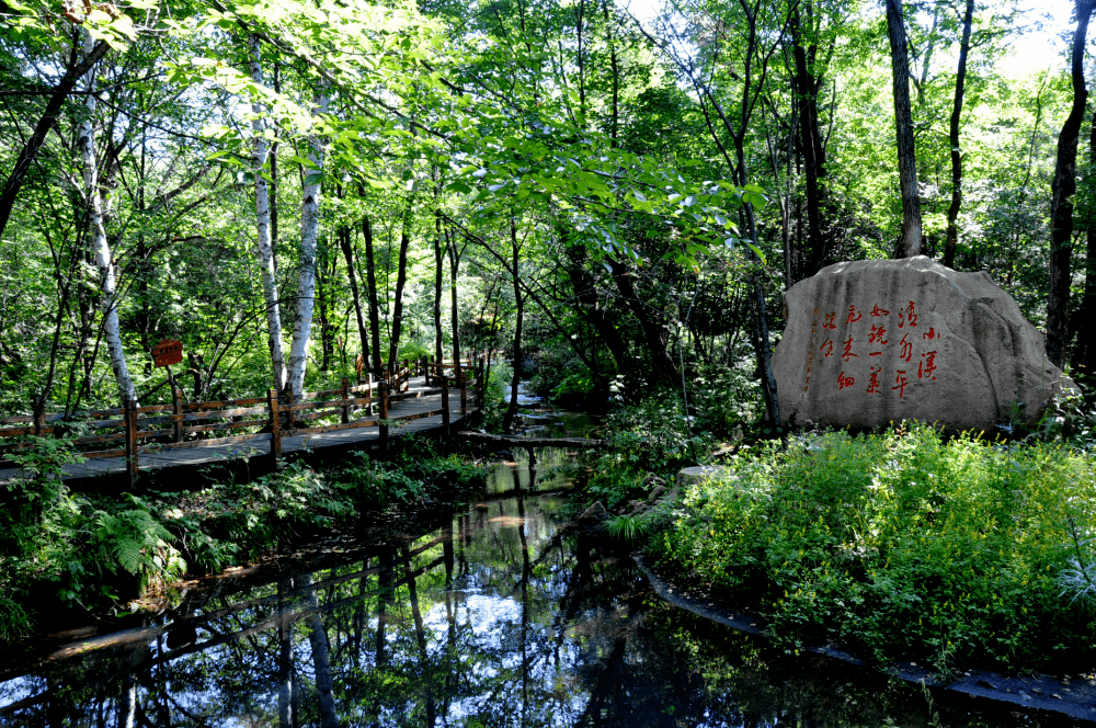 d2:上甘嶺溪水國家森林公園→五營國家森林公園寶宇森林生態小鎮d1