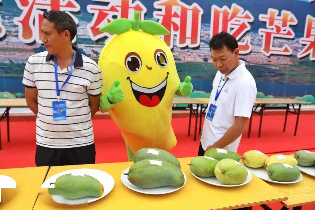 永德芒果节宣传片图片