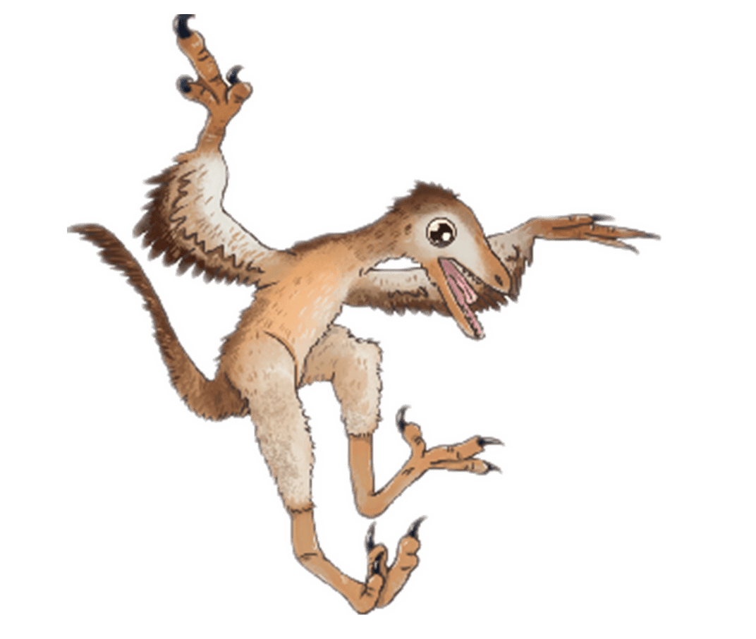 顾氏小盗龙复原形象经过亿万年的星移斗转和地壳运动,我们这些远古