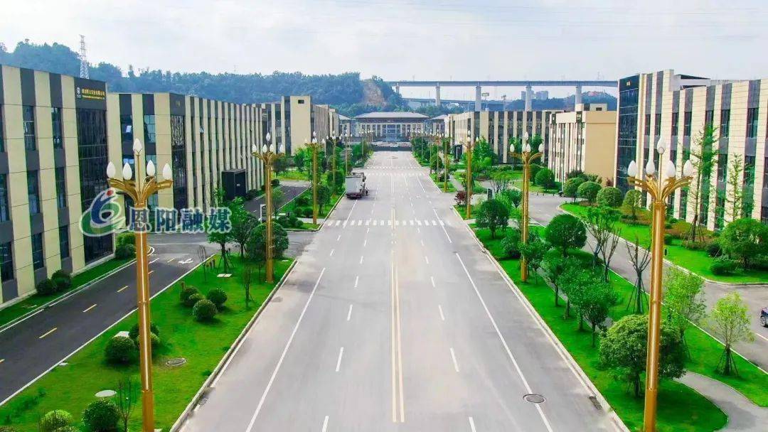 恩阳工业加速跑_企业_产业_胡婆婆