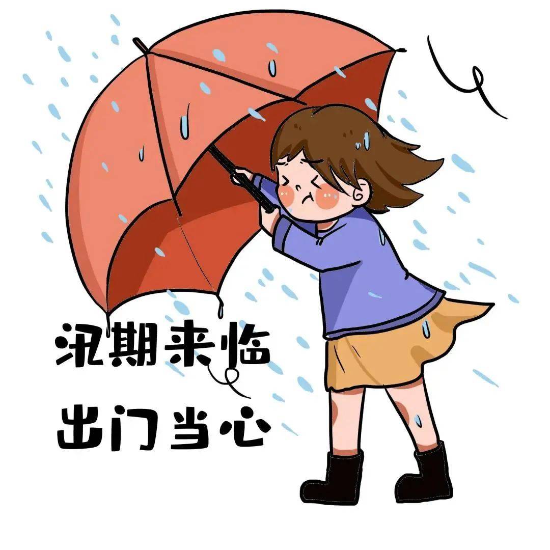 【应急科普】汛期一定要知道的防汛小知识插图2