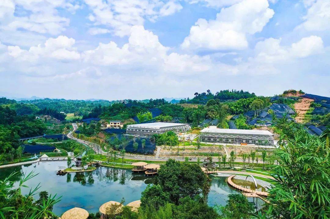 迎大运 游乐山丨这个暑假总要来一次沐川吧_旅游_景区_景点