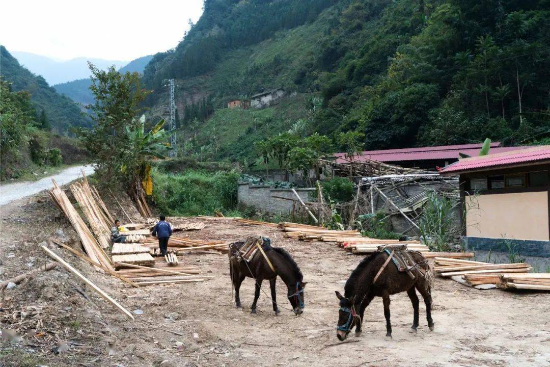 唐立红:人字桥村的变迁_村民_铁路_建设