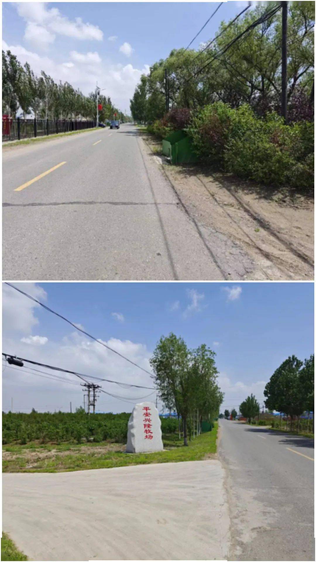 【法治文化】弘扬法治文化 厚植文明乡风——大庆市红岗区兴隆牧场村