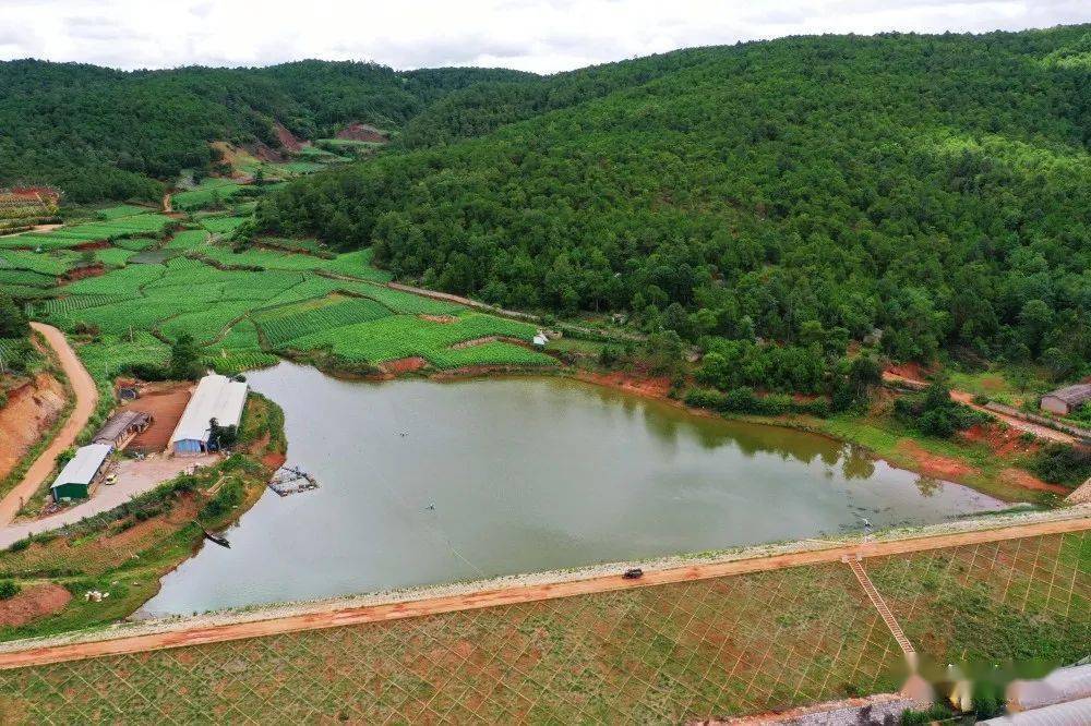 江川区丨下最大决心 用更实举措让清水流入星云湖_水库_水源_雄关乡