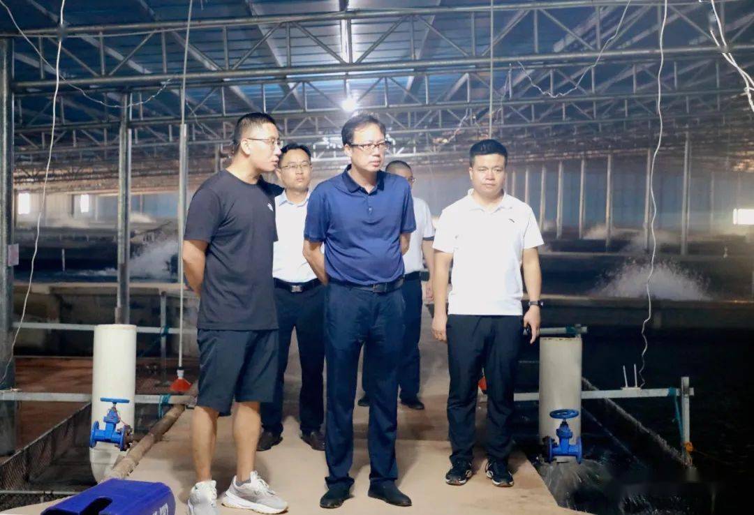 曾平深入一线调研乡村振兴等工作_发展_全南县_产业