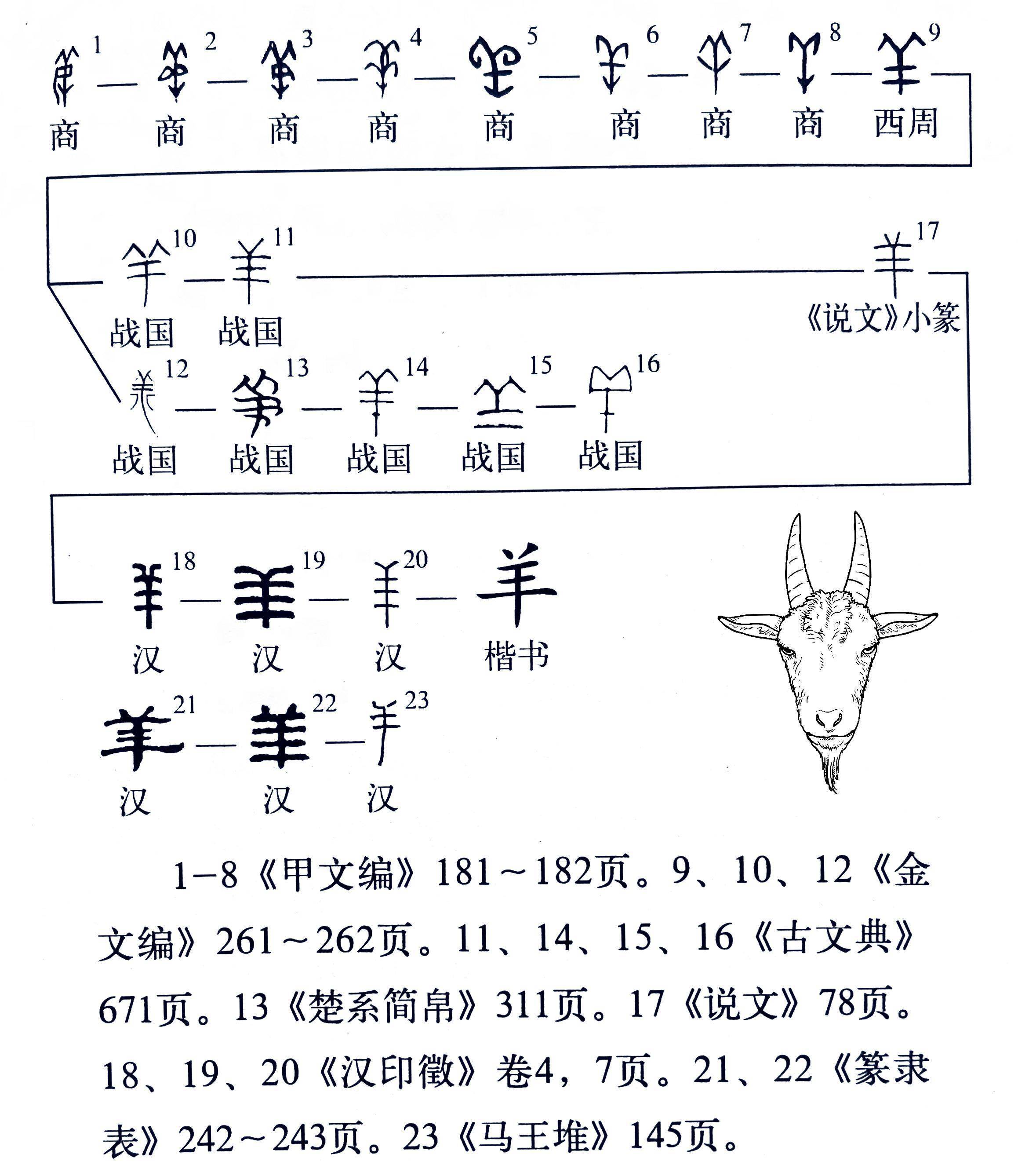 羊字的演变过程 顺序图片