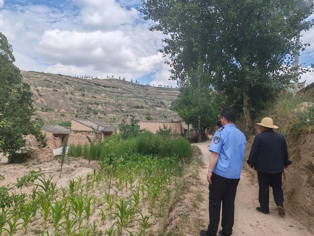 【"三抓三促"行动进行时】通渭县陇川镇深入开展禁种铲毒踏查活动