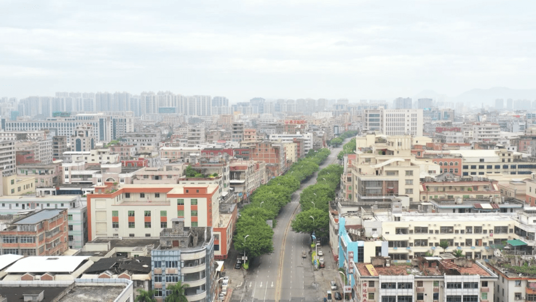 担当者|晋江市信访局副局长陈毅伟:攻坚克难"冲锋者"