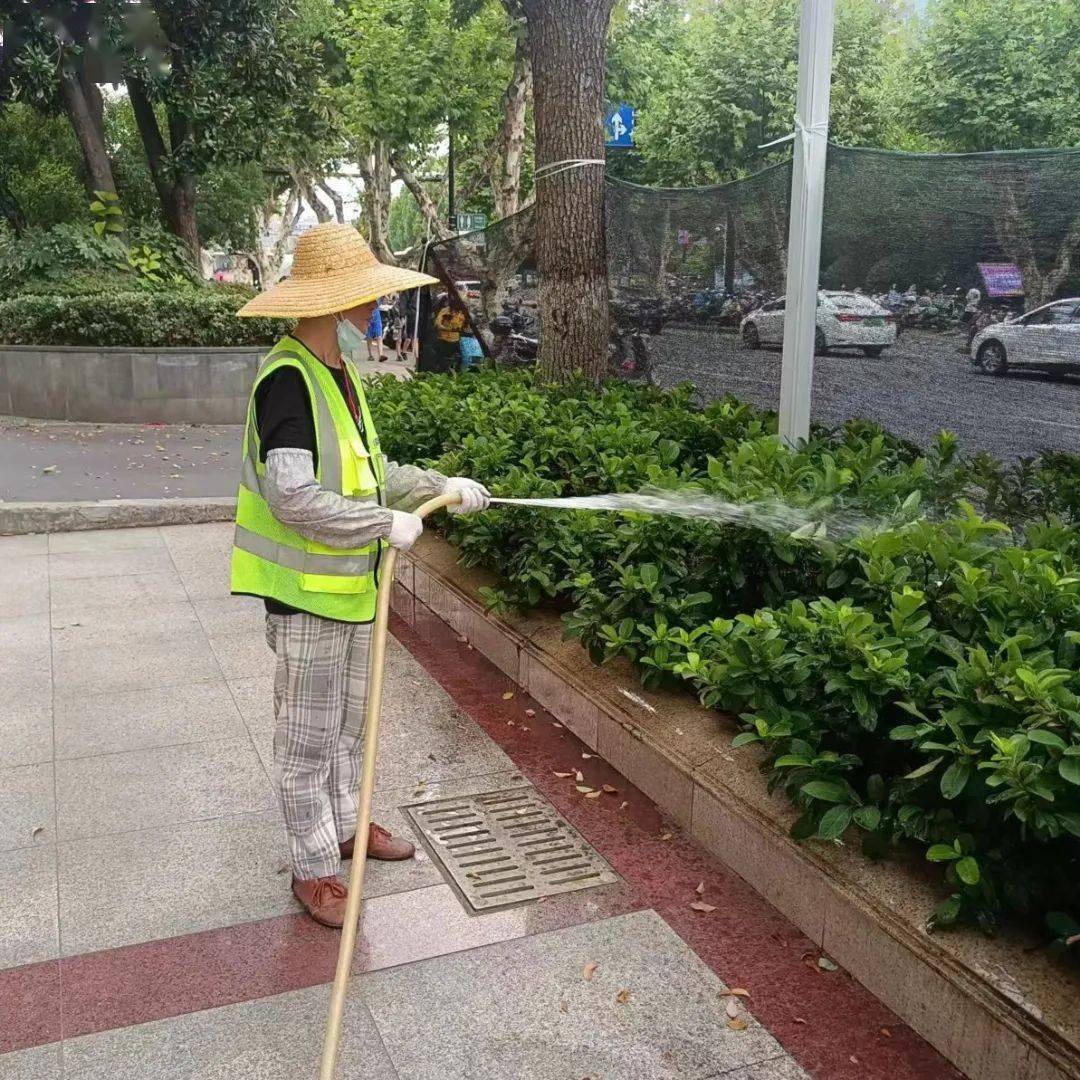 绿化工程施工行业动态：绿意盎然中的艺术与科学