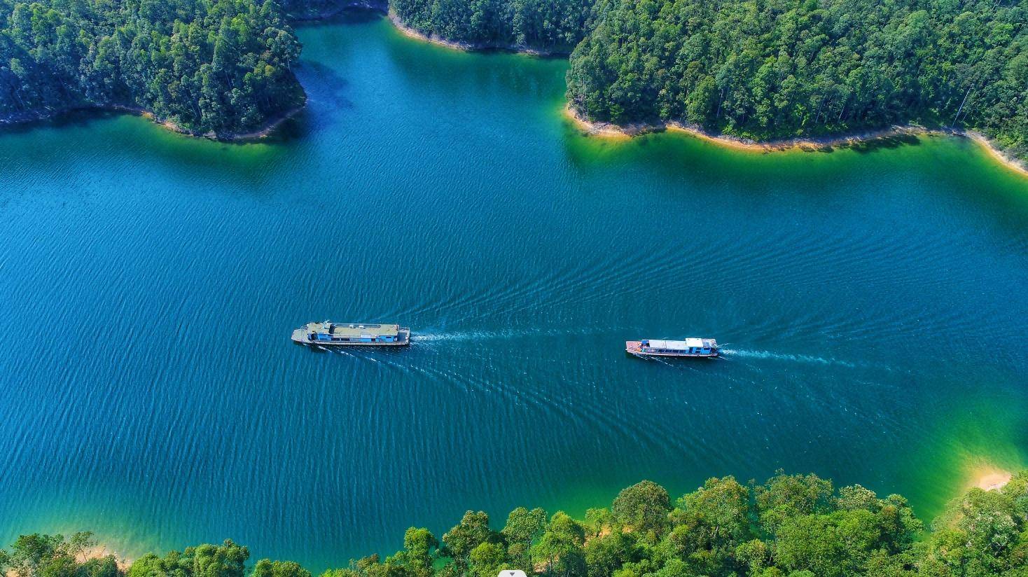 粤看粤美|只此青绿沁心田_万绿湖_风景区_保护