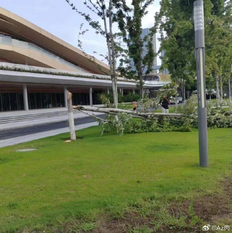 ▼大树被拦腰吹断▼拍到的西安上空的闪电网友在潘家庄小区附近▼多个