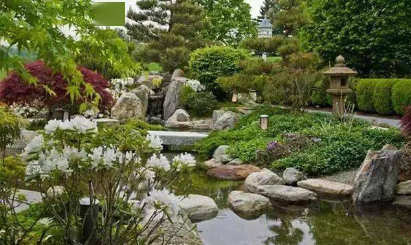 庭院造景,水系的妙用._池塘_水池_自然