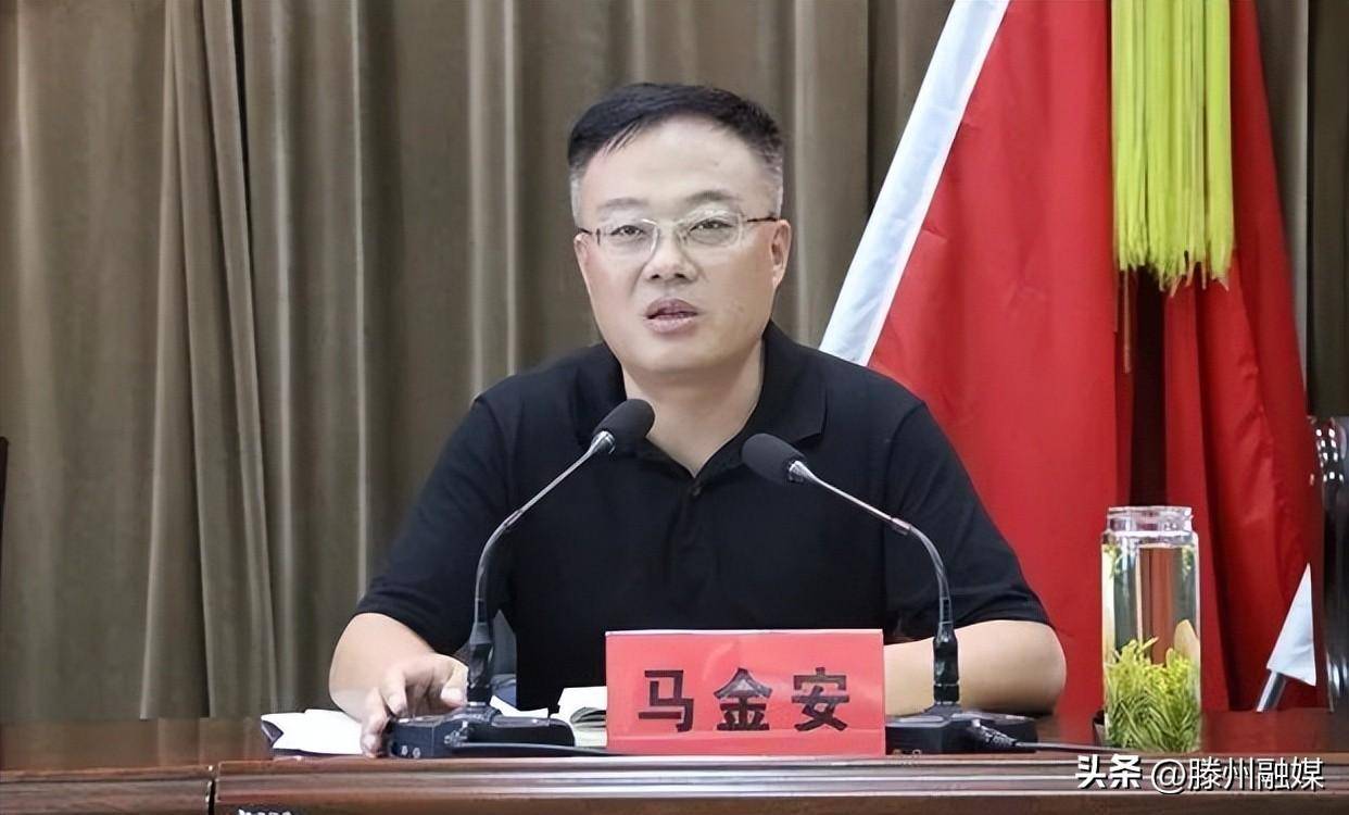 新任副市长马金安工作分工_湿地_林业_简历