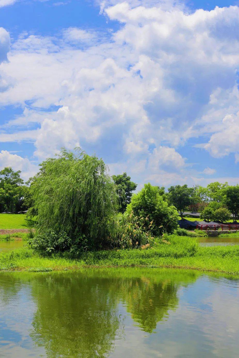 奶油泡芙一般溢出了夏天的味道是动漫里盛夏的样子没错了治愈系天空和