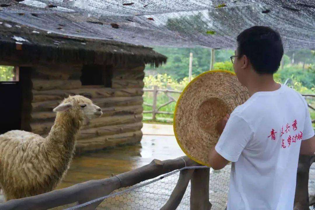 秀山高新區,川河蓋旅遊景區,興隆坳農業園區,邊城洪安,鷺秀小學等家鄉