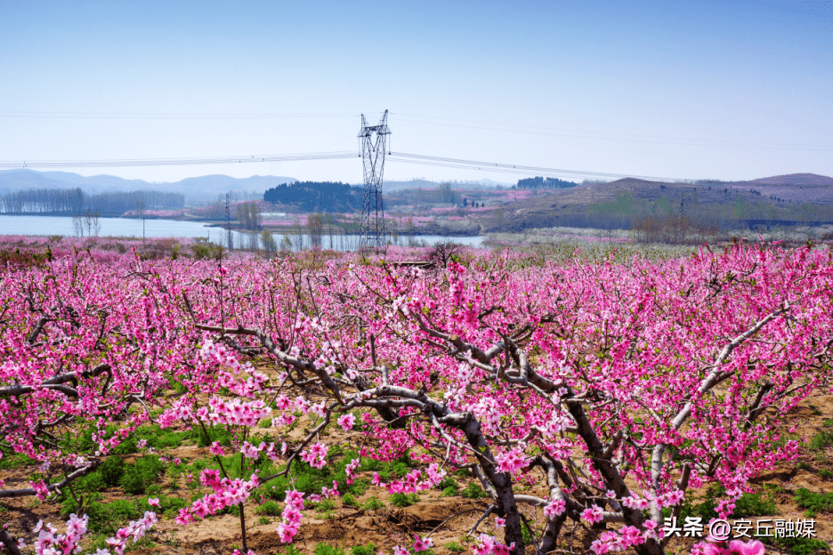 石埠子镇做深文旅融合文章 绘就美丽乡村新画卷_文化_宣传_旅游业