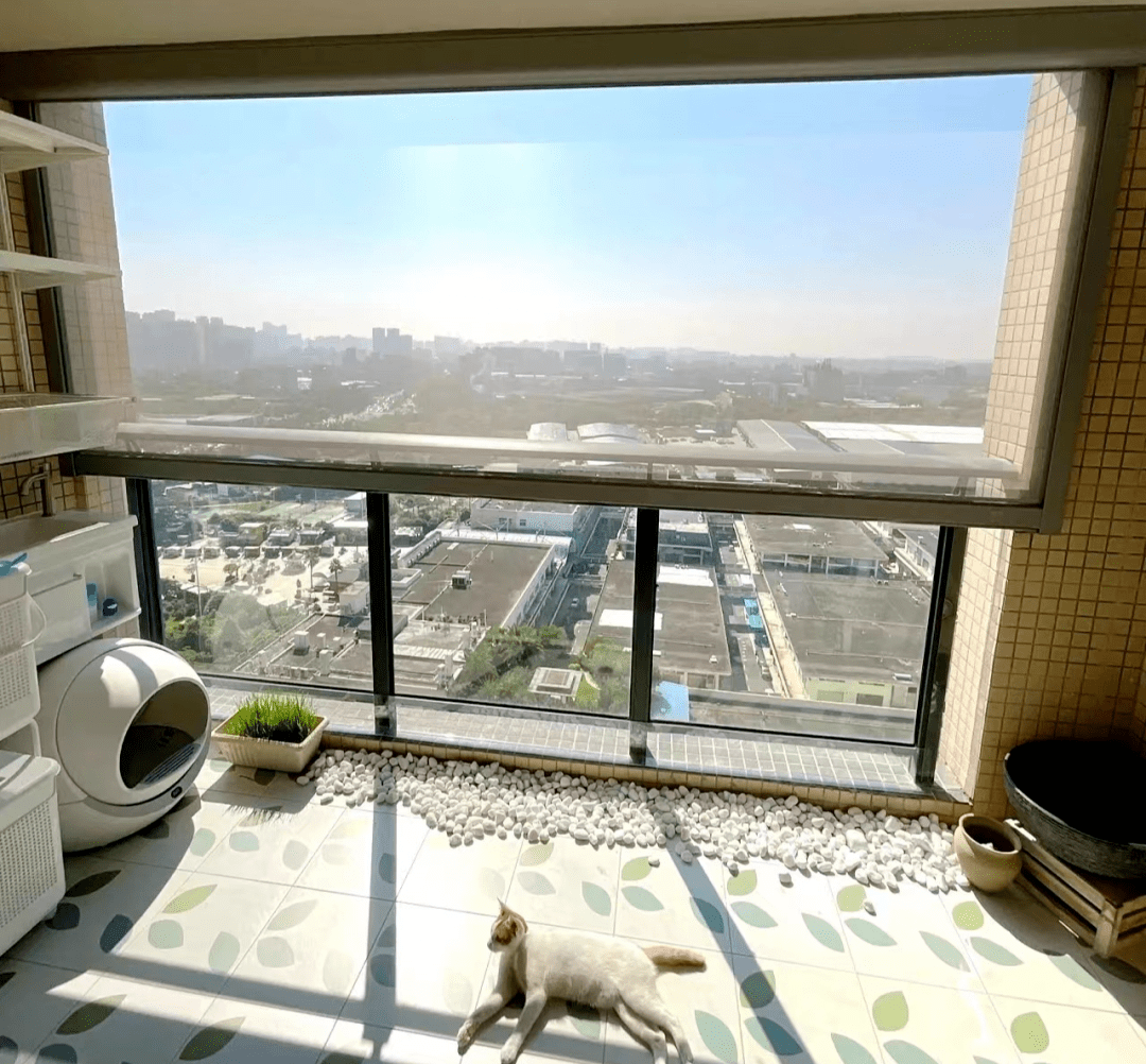 高层不封阳台的越来越多?看完楼下姐姐的家,太后悔我家封阳台了!