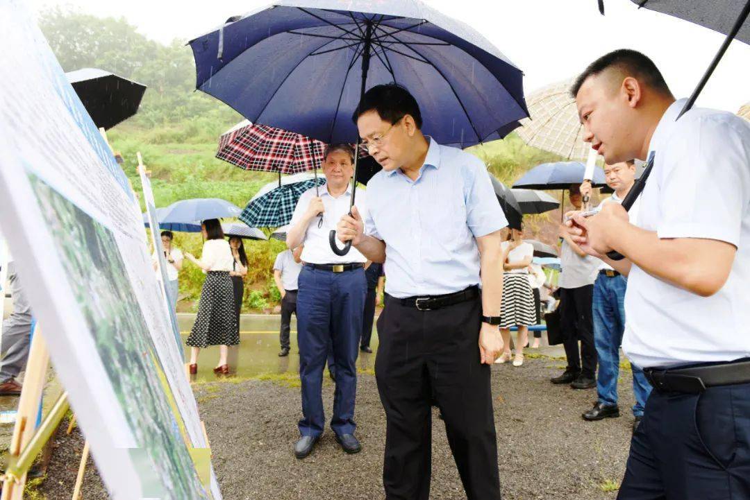 加快建设西部陆海新通道重庆货运调配中心——莫恭明督办第0307号代表