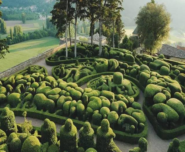 如果球形灌木都能剪成这样._植物_造型_修剪