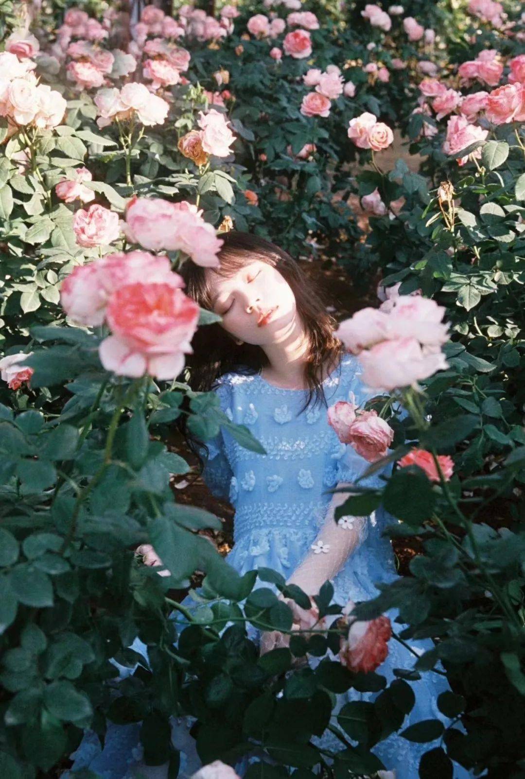 这些摄影师,太会拍花与女孩了!_ins__baa__dasol