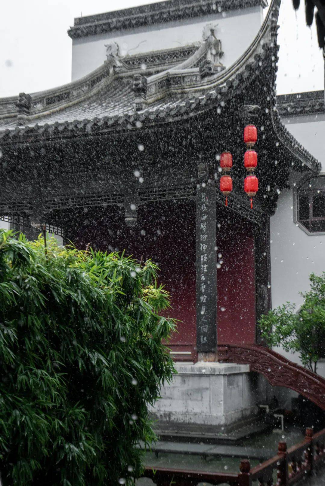 滴滴答答,蔓延一夏的风情听雨滴落在屋檐上,水池里漫步在烟雨朦胧的