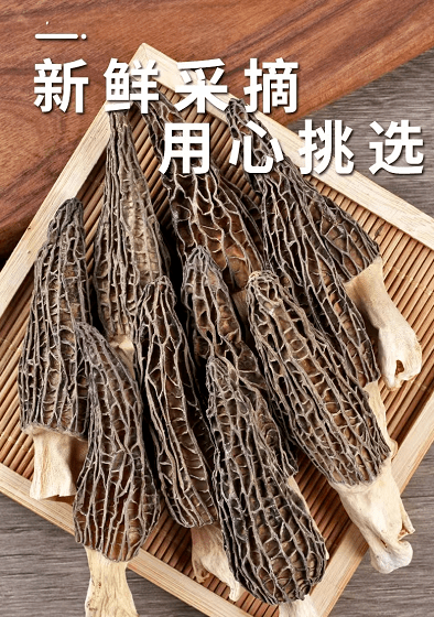 正价八九百一斤的羊肚菌挑出来的,一定别错过!